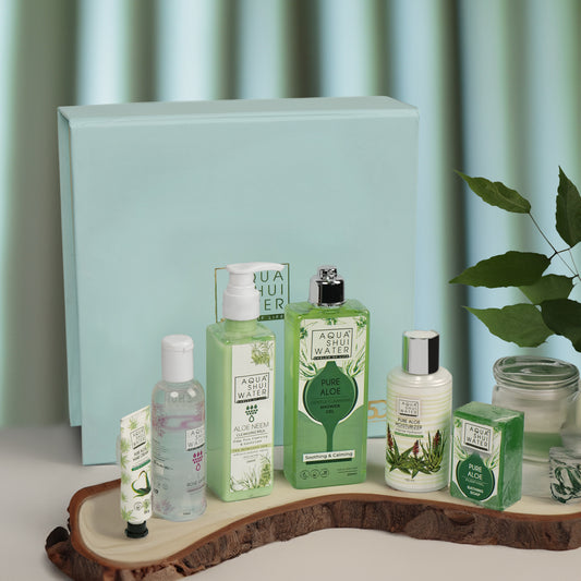 Aqua Shui Water Gift Set | Personalized Gift Box of 6 | Aloe