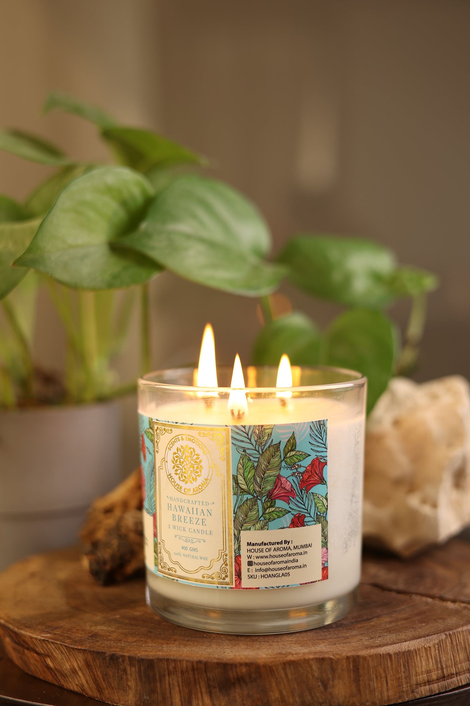 P&j Fragrance Oil Hawaiian Set | Hibiscus, Island Life, Hawaiian Ginger, Tropical Breeze, Plumeria, Aloe Candle Scents for Candle Making, Freshie