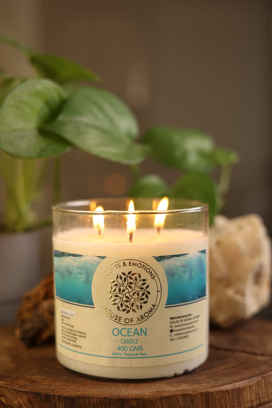 House of Aroma Natural Wax Ocean Candle 3 Wicks